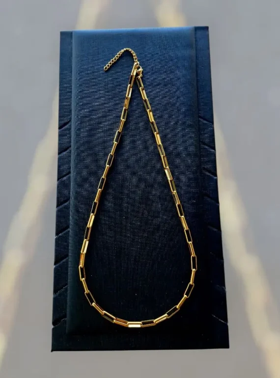 ✨ UShine.gr: Ατσάλινη Χρυσή Αλυσίδα Λαιμού No 100