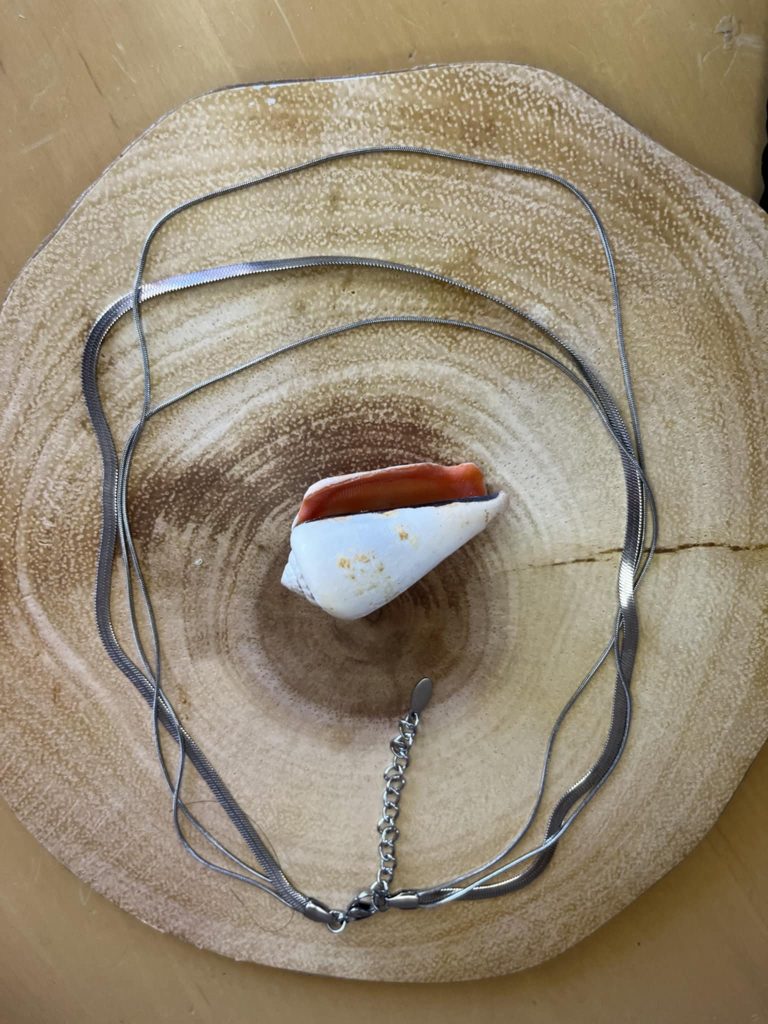 ✨ UShine.gr: Ατσάλινο κολιέ 3 σε 1 σε ασημί No 172