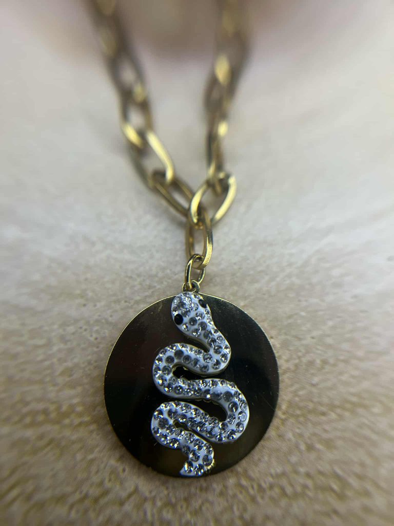 ✨ UShine.gr: Κολιέ ατσάλινο με μενταγιόν φίδι σε χρυσό No 175