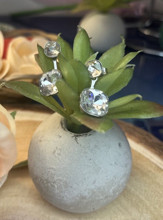 ✨ UShine.gr: Ατσάλινα σκουλαρίκια με διπλό διάφανο κρύσταλλο No 1242