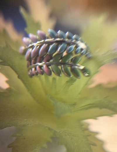 ✨ UShine.gr: Ατσάλινο statement δαχτυλίδι Leaf με πολύχρωμα φύλλα (ασημί) No 1358