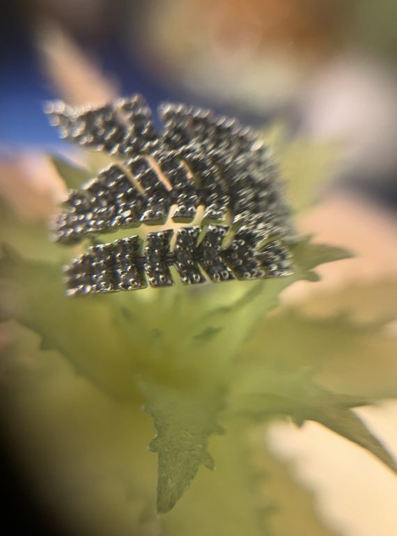 ✨ UShine.gr: Ατσάλινο statement δαχτυλίδι φύλλο με κρυστάλλινες λεπτομέρειες (ασημί) No 1370