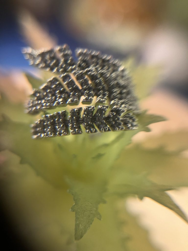 ✨ UShine.gr: Ατσάλινο statement δαχτυλίδι φύλλο με κρυστάλλινες λεπτομέρειες (ασημί) No 1370