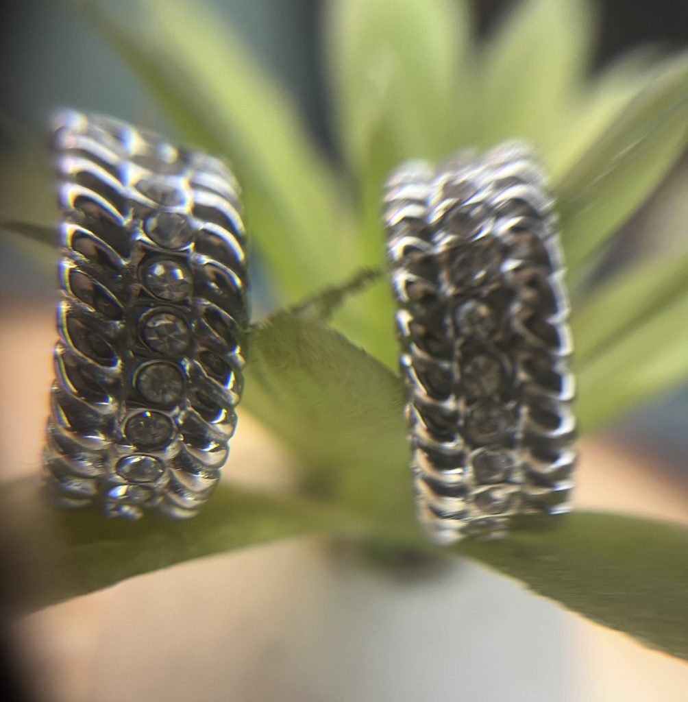 ✨ UShine.gr: Ατσάλινα σκουλαρίκια διπλού κύκλου (ασημί) No 1377