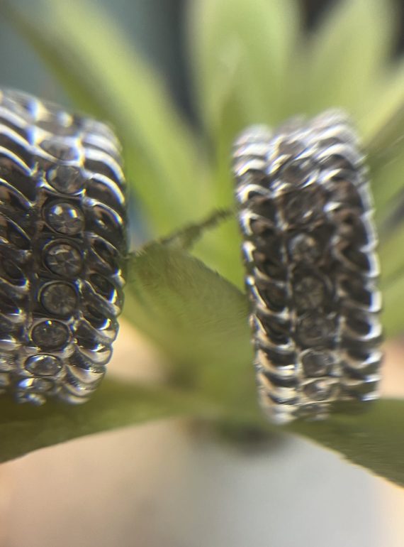 ✨ UShine.gr: Ατσάλινα σκουλαρίκια διπλού κύκλου (ασημί) No 1377