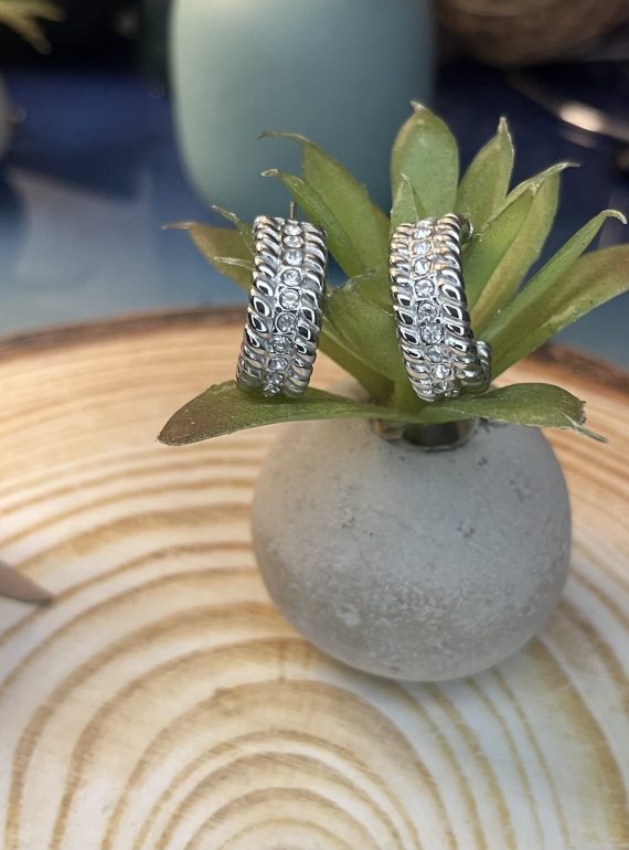 ✨ UShine.gr: Ατσάλινα σκουλαρίκια διπλού κύκλου (ασημί) No 1377