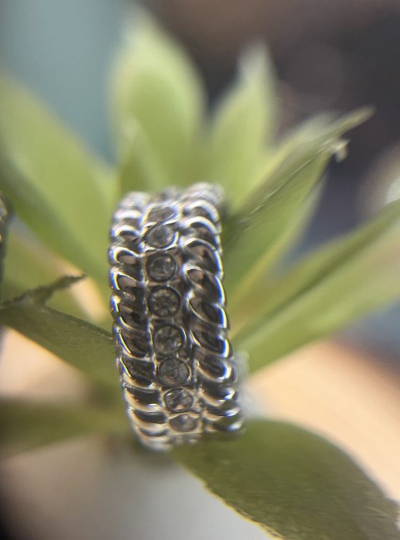 ✨ UShine.gr: Ατσάλινα σκουλαρίκια διπλού κύκλου (ασημί) No 1377