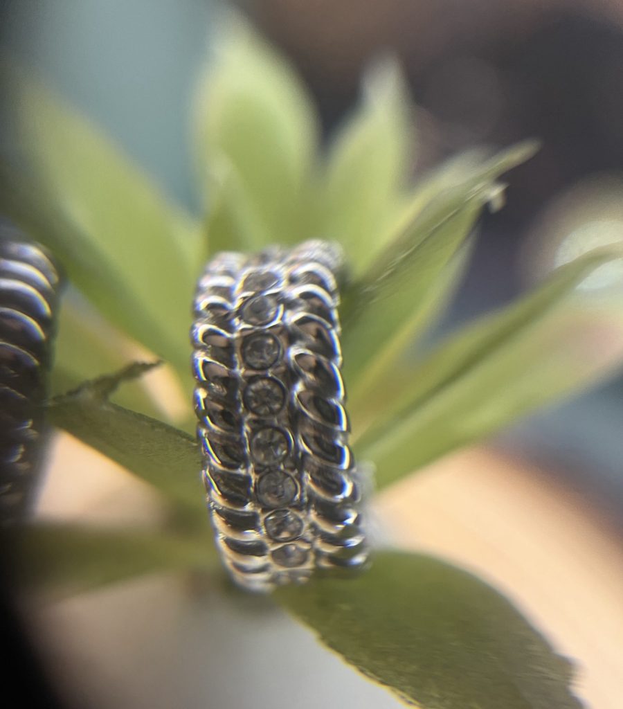 ✨ UShine.gr: Ατσάλινα σκουλαρίκια διπλού κύκλου (ασημί) No 1377