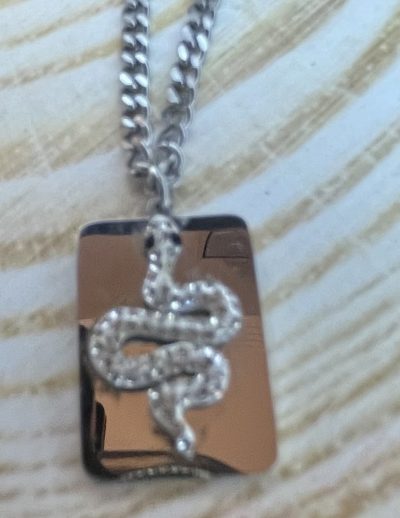 ✨ UShine.gr: Ατσάλινο κολιέ με ανάγλυφο φίδι & λαμπερές λεπτομέρειες No 1481