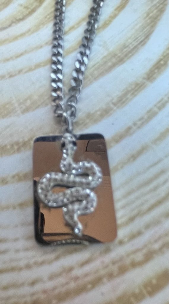 ✨ UShine.gr: Ατσάλινο κολιέ με ανάγλυφο φίδι & λαμπερές λεπτομέρειες No 1481