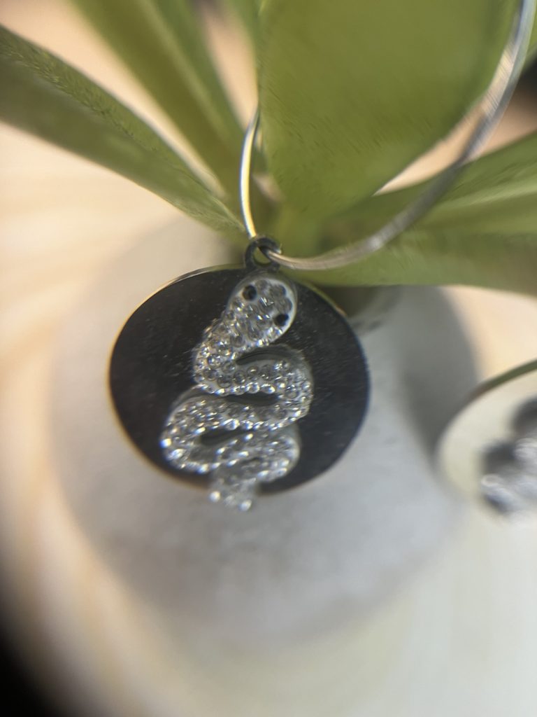 ✨ UShine.gr: Ατσάλινα Σκουλαρίκια Κρίκοι με Στοιχείο Φίδι & Στρας No 6002